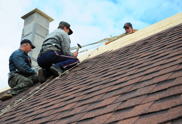 Trusted Oak Forest, IL Roofing Contractor Experts